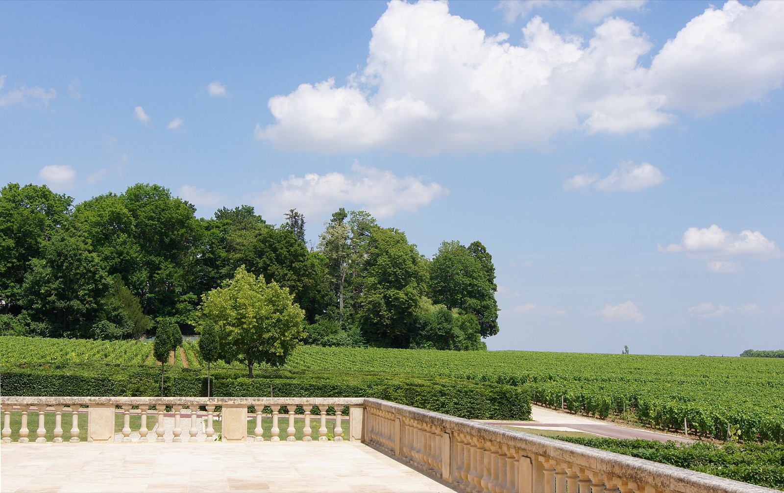 Vignoble de Pommard en Bourgogne vu depuis une terrasse de pierre